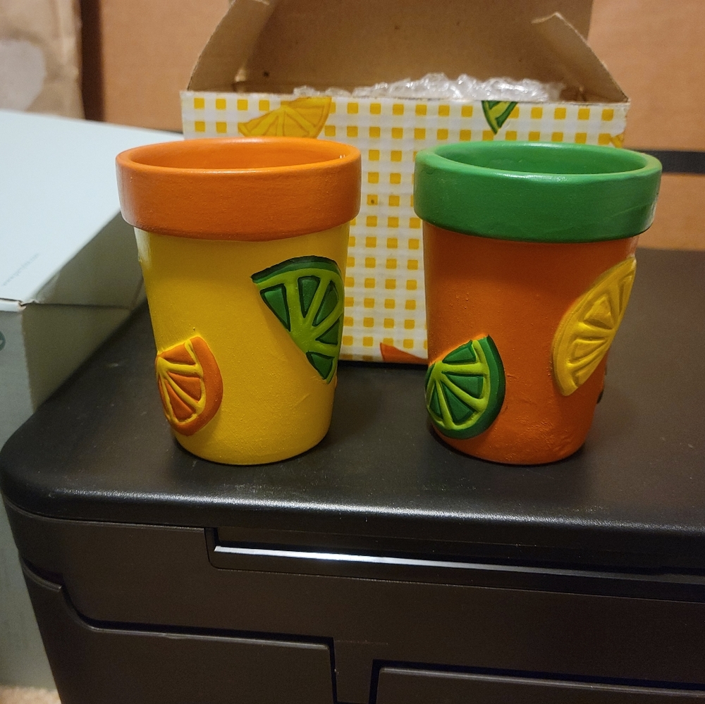 Citrus Flower Pot Candles Set of 2
